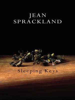 cover image of Sleeping Keys